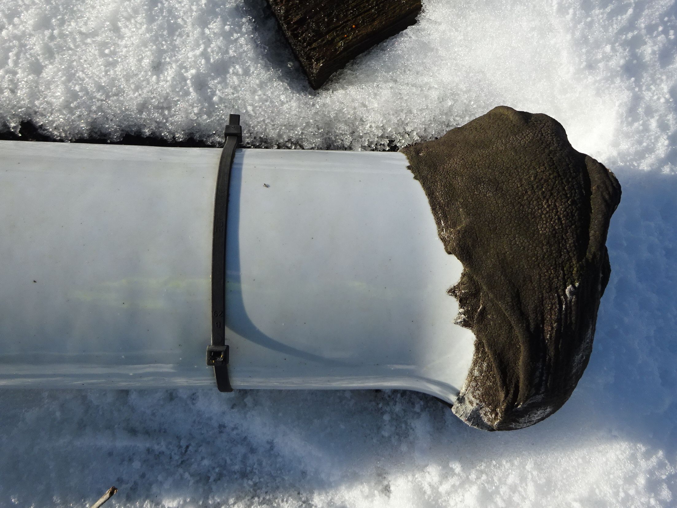 Unused Agitator Glass Lined Parts 3,000 L (793 gallons) Glasslined For Sale - IPP# 706554