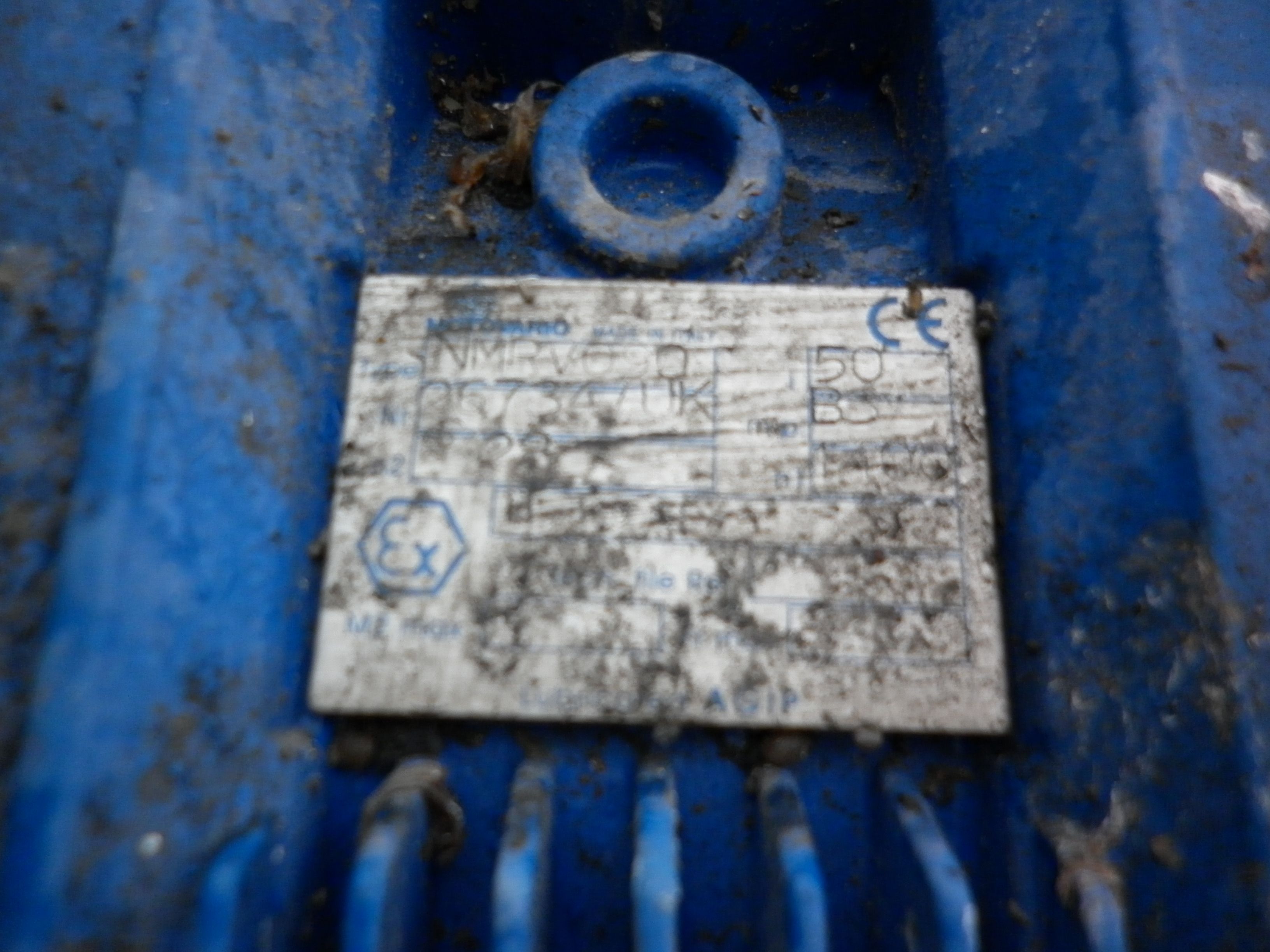   Belt Conveyor 400 mm (15.7 in) For Sale - IPP# 706644