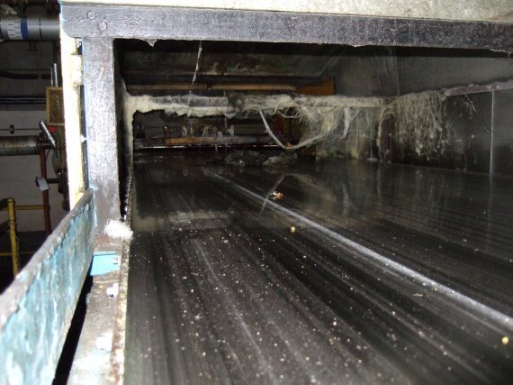  Stainless Steel Other  Dryer-Flaker Drum and Belt 1,500 mm (59.1 in) For Sale - IPP# 706652