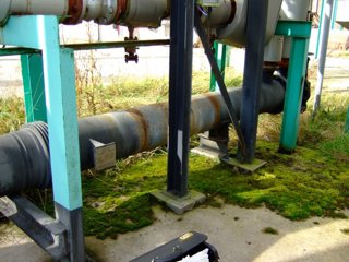 Stainless Steel 316 Shell and Tube Heat Exchanger