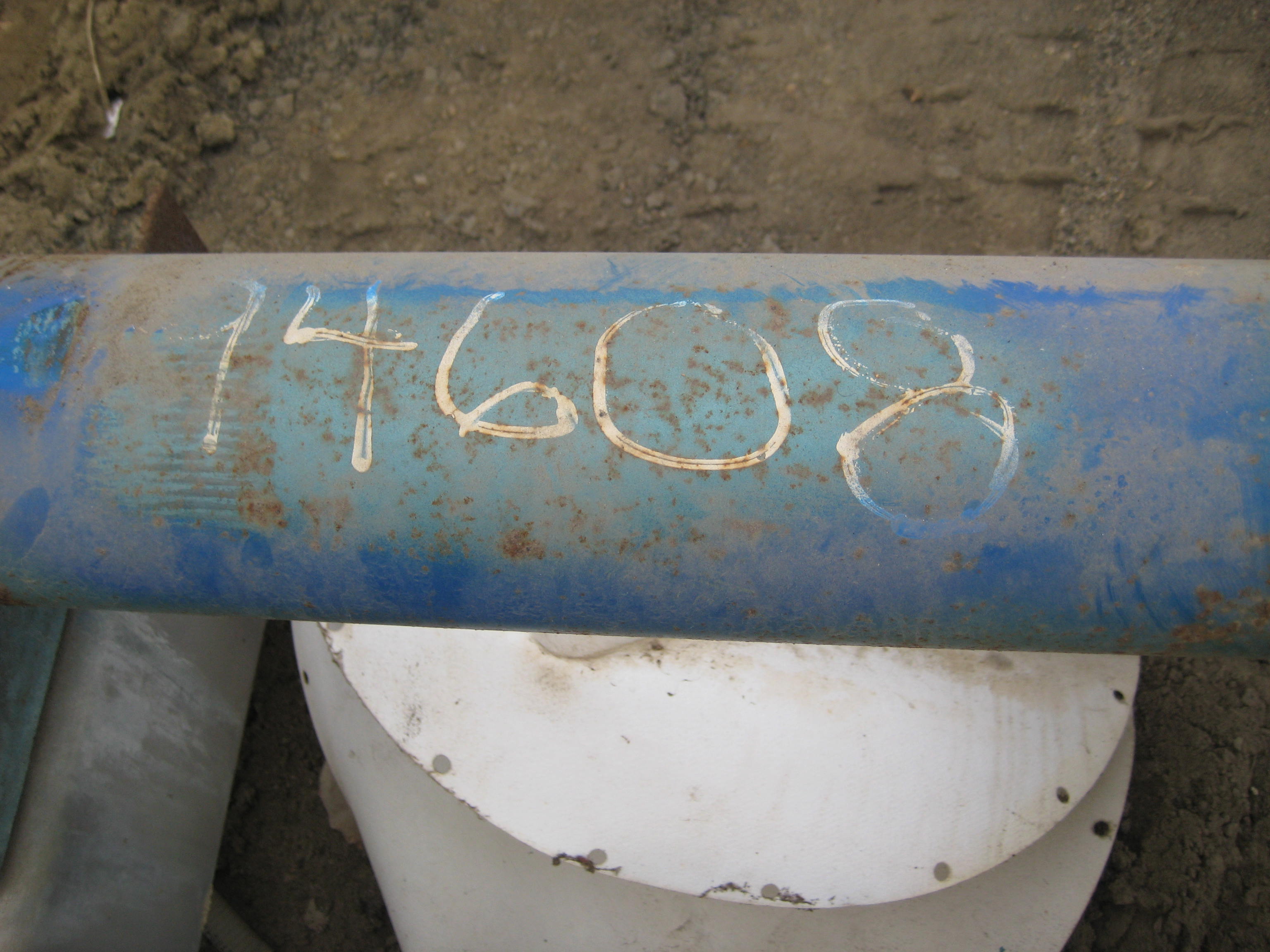 Stainless Steel 316 Moyno 6FOES1 Rotary Pump - IPP# 94608